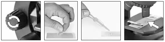 BRESSER-8851300000000-Microscope-FIG-1