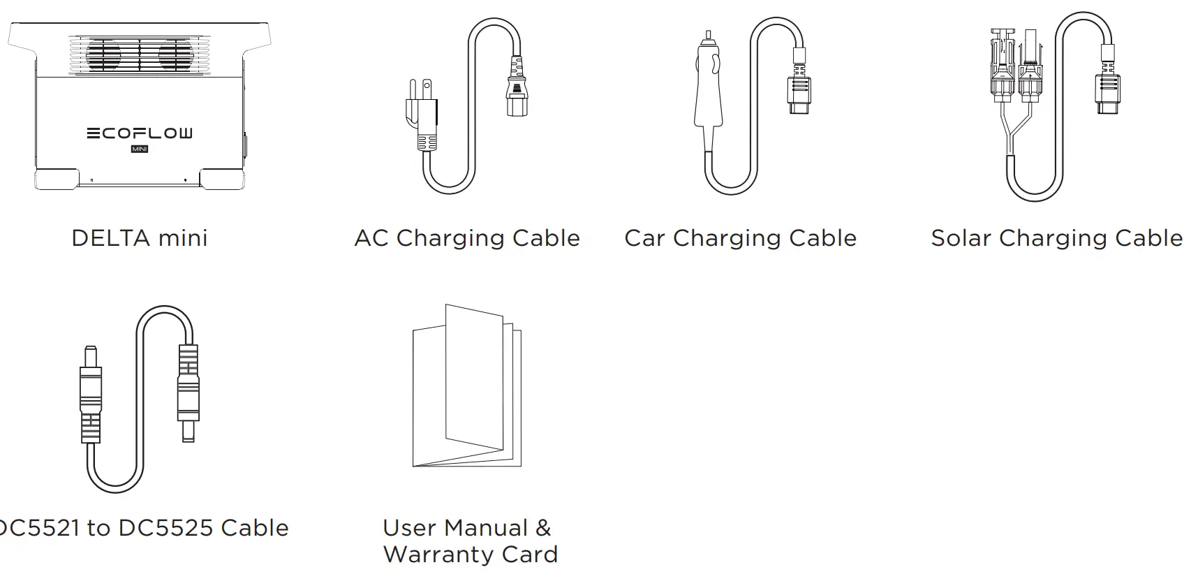ECOFLOW Delta Mini Portable Power Station 882Wh Solar Generator - the Box