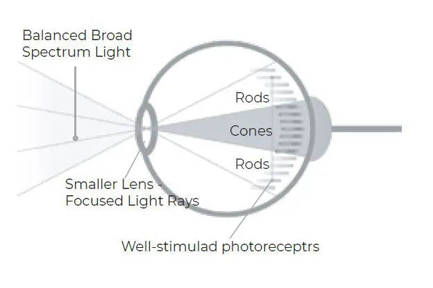 iGear iG-1073 Vitamin-D3 Light Therapy Lamp FIG 1