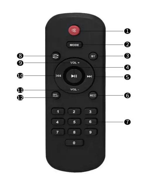 JYX-2-UHF-Karaoke-Machine-Wireless-Microphones-Fig-2