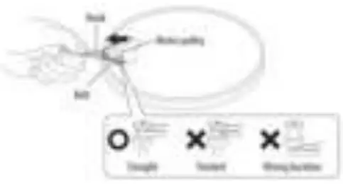 Platter and Belt Setup