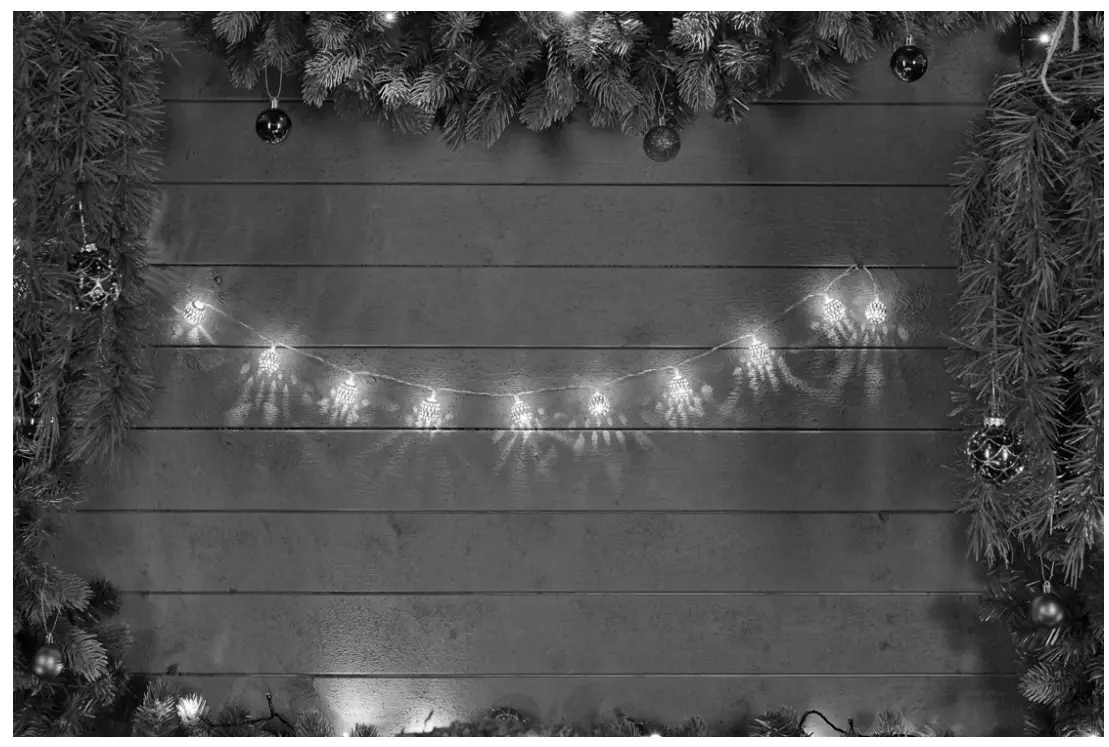 EKVIP 021861 String Lights