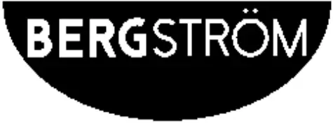 Bergstrom logo