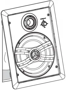 Place the speaker into the wall