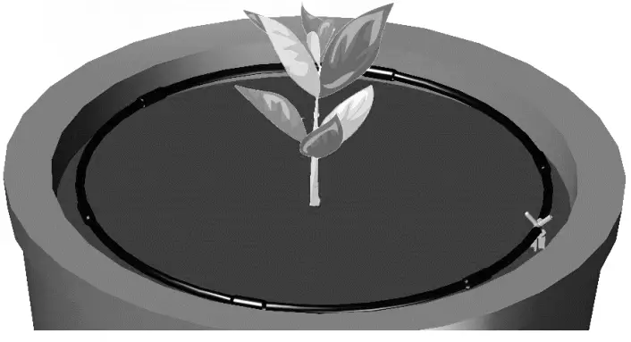 Zero Overspray Precision Container Irrigation