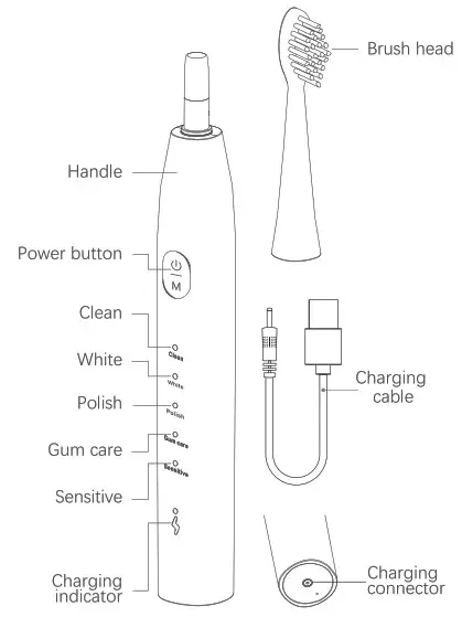 BAOVERI DY 156 Sonic Electric Toothbrush - Introduction 1