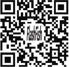 FIG 11 Flashfishtech