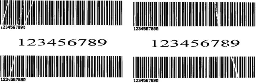 Printing Wrinkle Adjustment 01