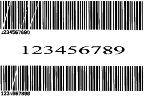 Printing Wrinkle Adjustment 04