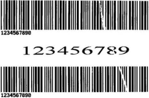 Printing Wrinkle Adjustment 05