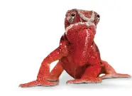 ELATEC TWN4 MultiTech 2 M BLE - icon 1