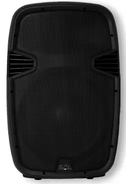 SOMOGYI-ELEKTRONIC-PAX25PRO-Orchestral-Speaker