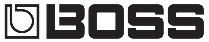 BOSS Bass Multi-effects Processor- 02