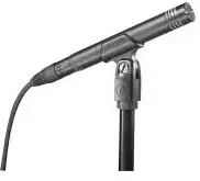 audio-technica AT2031 Cardioid Condenser Microphone