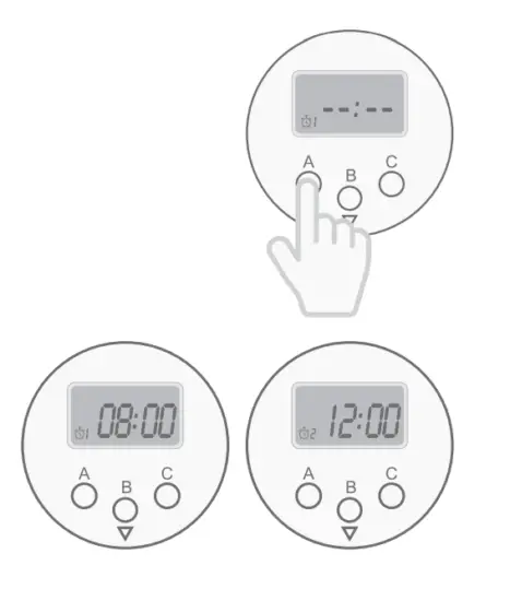 LIVE FINE LVFRAPD5W Automatic Pill Dispenser with Frosted Lid - Fig11