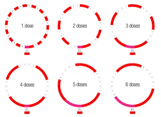 LIVE FINE LVFRAPD5W Automatic Pill Dispenser with Frosted Lid - Fig2