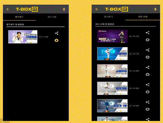 T-BOX FIT V1 T-BOX Multi-Training Fitness Device fig 6