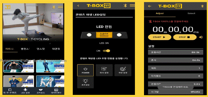 T-BOX FIT V1 T-BOX Multi-Training Fitness Device fig 7