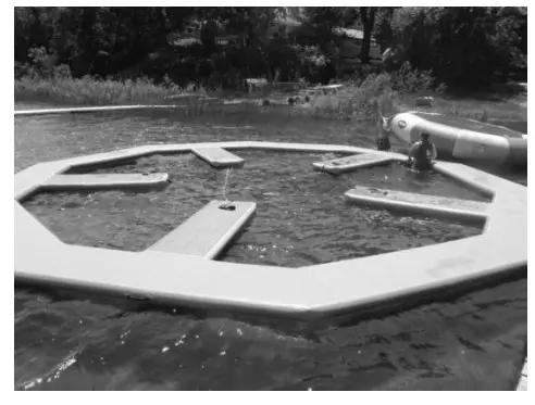 RAVE Spin Wheel Owner's Inflation 1