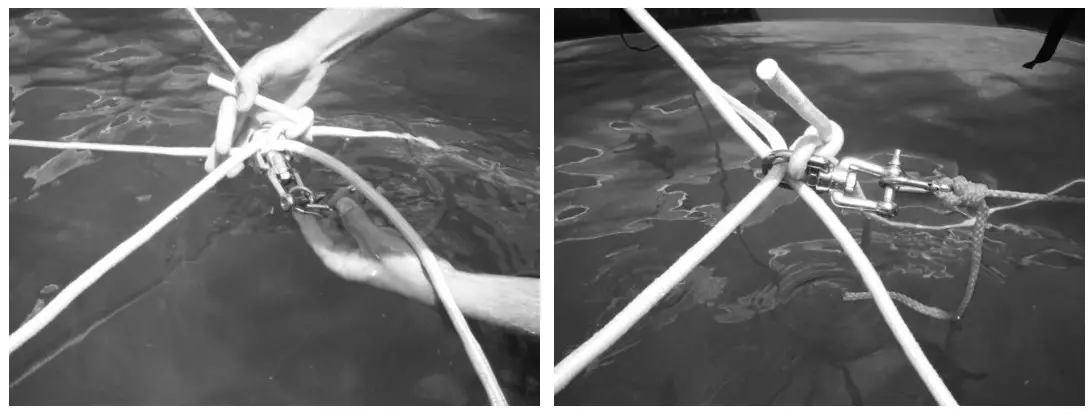 RAVE Spin Wheel Owner's Inflation Remove all slack