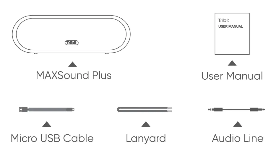 Tribit IC-BTS25 Portable Wireless Speakers fig 1