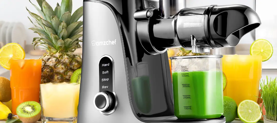 Amzchef Gm3001 Horizontal Slow Juicer User Manual