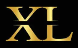 XZL-Wireless-Microphone-logo