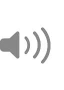 Volume icon