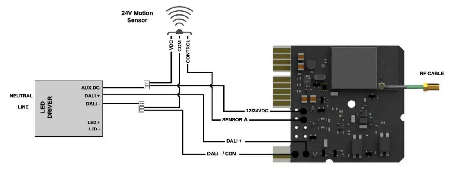 DALI-2 Wiring Diagram