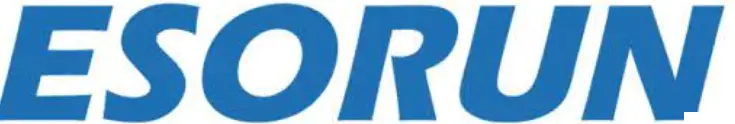 ESORUN logo