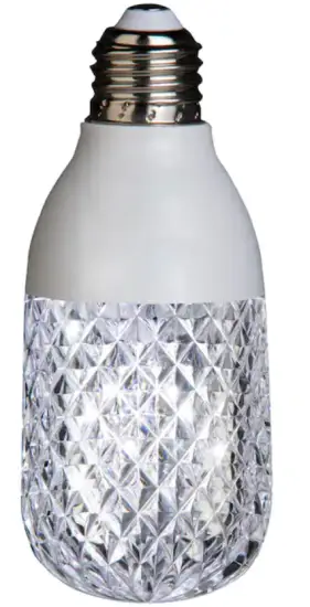 111238-Orchestra-of-Lights-Edison-Bulb