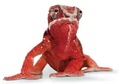 ELATEC RFID TWN4 Multitech 2 M LF Module - Fig 1