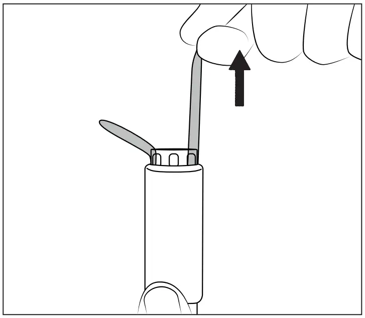 Compatible Accessories