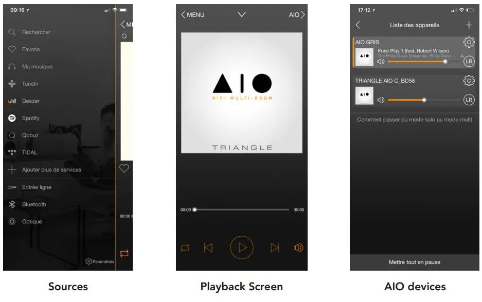 TRIANGLE HIFI AIO3 Wireless Bluetooth WiFi Speaker Owner's Manual - APP OVERVIEW
