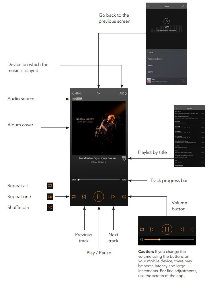 TRIANGLE HIFI AIO3 Wireless Bluetooth WiFi Speaker Owner's Manual - Playback screen