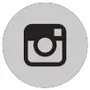 Instagram_in Circle