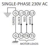 Motor Leads