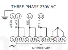 Motor Leads