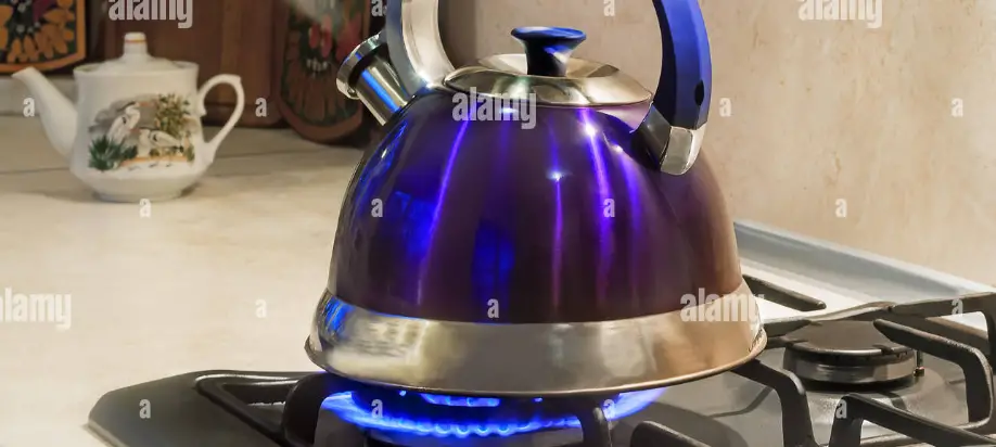 Brock Electronics Gs 001 W Gas Stove Instruction Manual