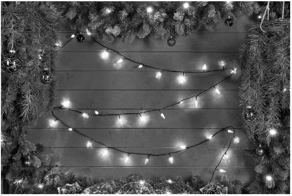EKVIP 021868 String Lights