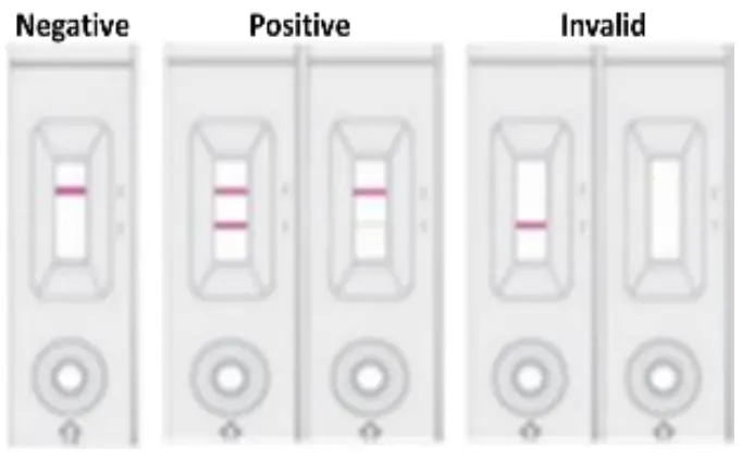 Result Interpretation