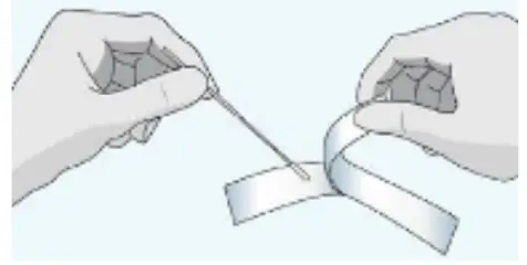 Specimen Collection And Preparation