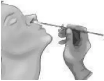 Specimen Collection And Preparation