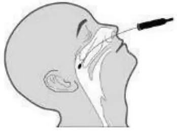 Specimen Collection And Preparation