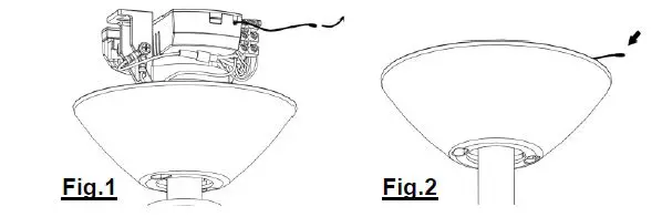 HUNTER-PACIFIC-The-Big-Fan-v2-fig-15