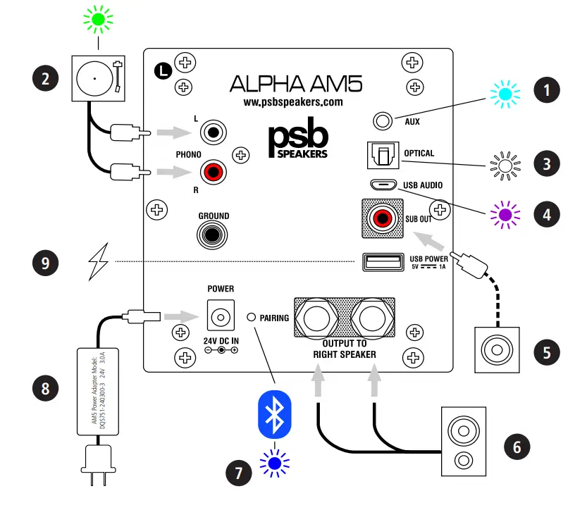 psb SPEAKERS ALPHA AM5 Powered Bookshelf Speaker - Back Panel