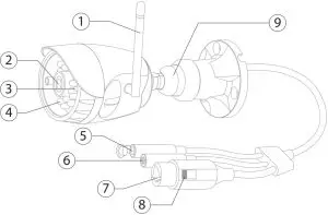 Buttons And Connections