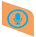 voice icon