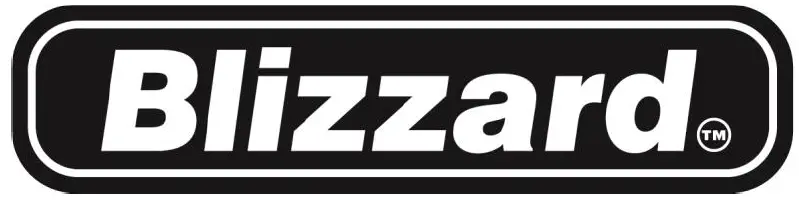 BLIZZARD LOGO