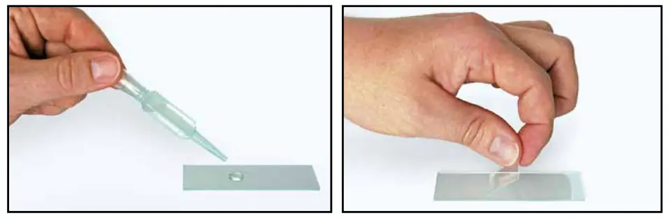 BRESSER 9203840 GYE 000 64x 800x Microscope - Figure 6